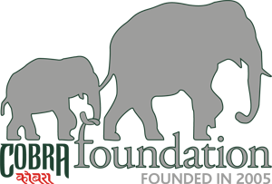 Cobra Foundation
