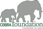 Cobra Foundation Logo